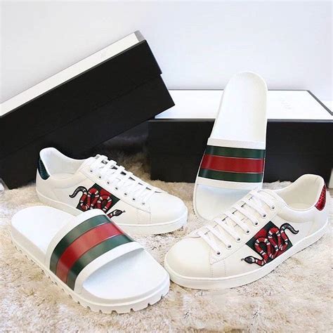 tenis gucci hombre cafes|zapato gucci rojo.